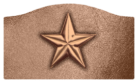 DASHELL-430-BZ-BZ Star Bronze-Bronze